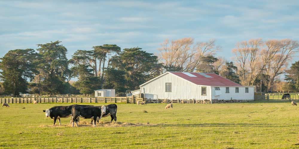 How to Get The Correct Rural Farm Sheds For Different Purposes