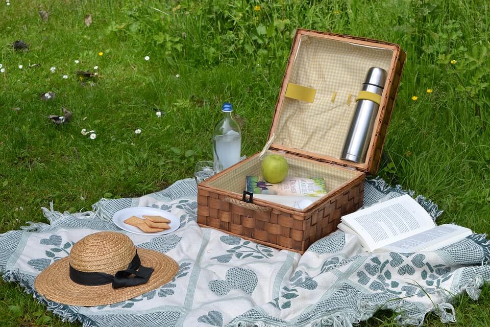 Summer Picnic Pest Control