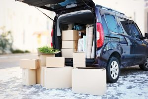 Removalist Service