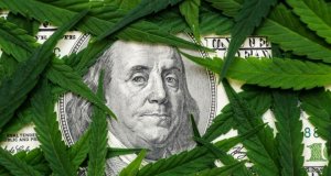 Cannabis Financial Service