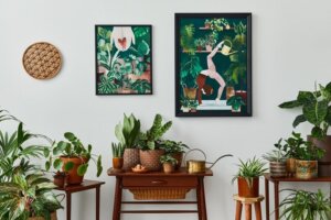 Indoor Plants Online