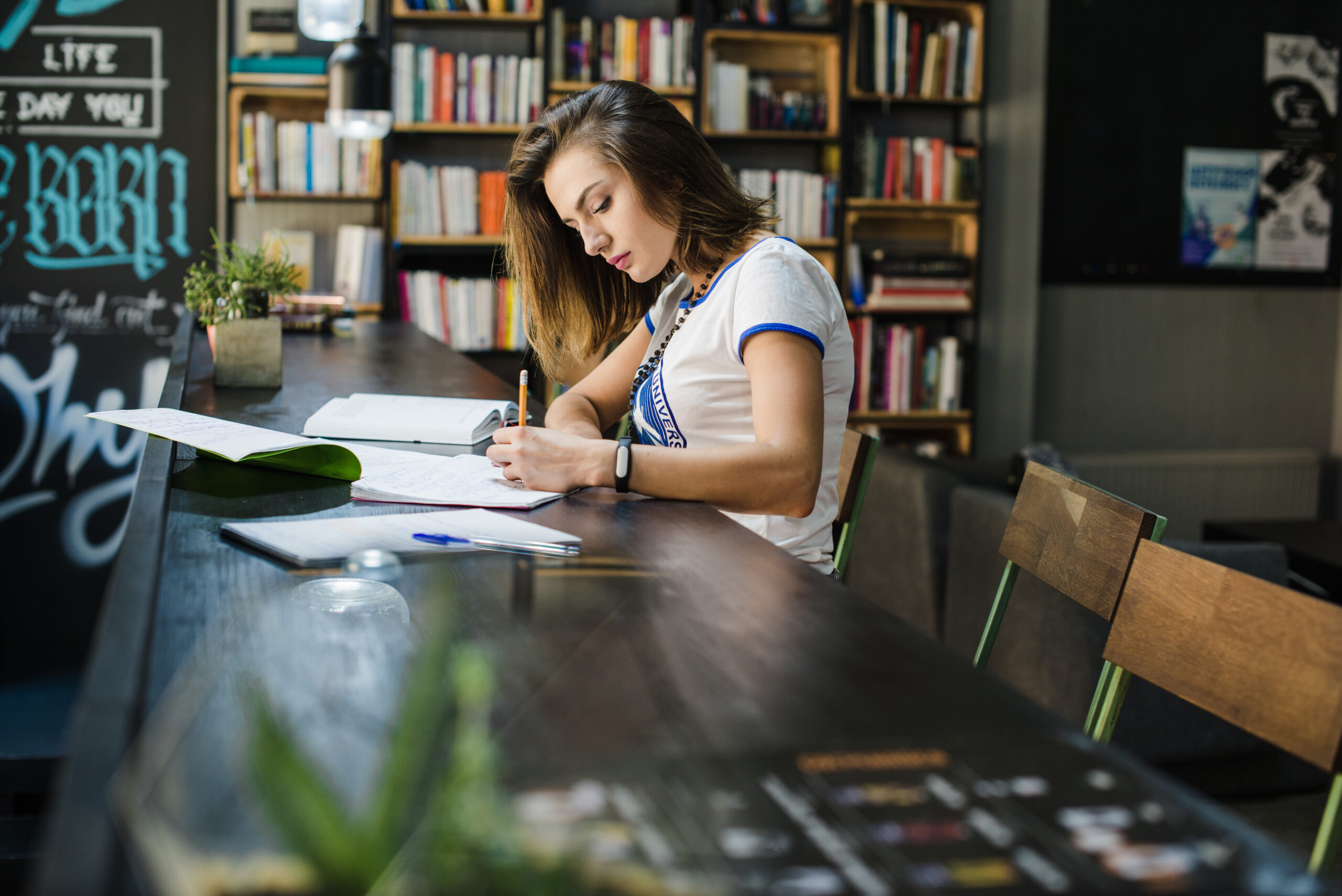 law assignment help