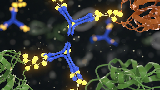 phospho-specific antibodies