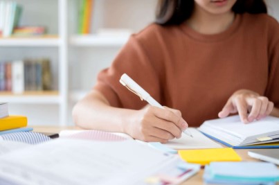 english assignment help