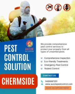 Affordable Termite and Pest Control Chermside