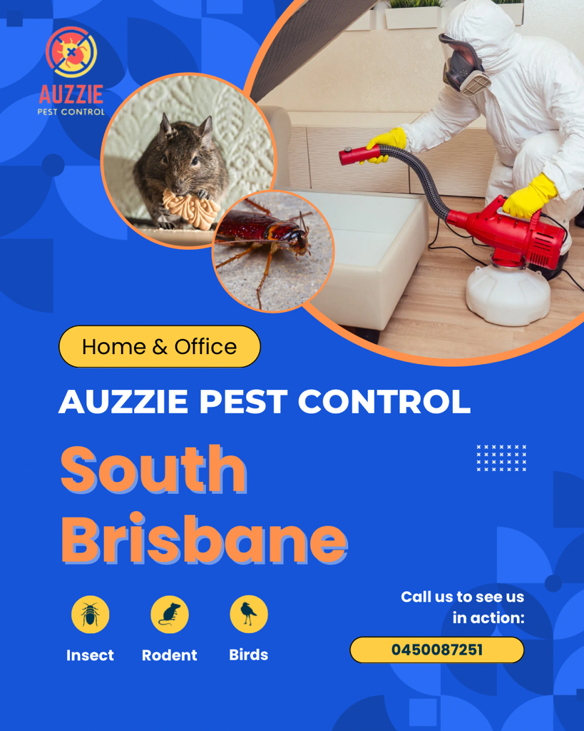 Pest Control Services Brisbane