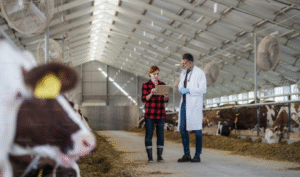 veterinary manufacturing company