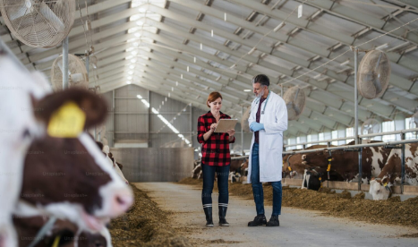 veterinary manufacturing company