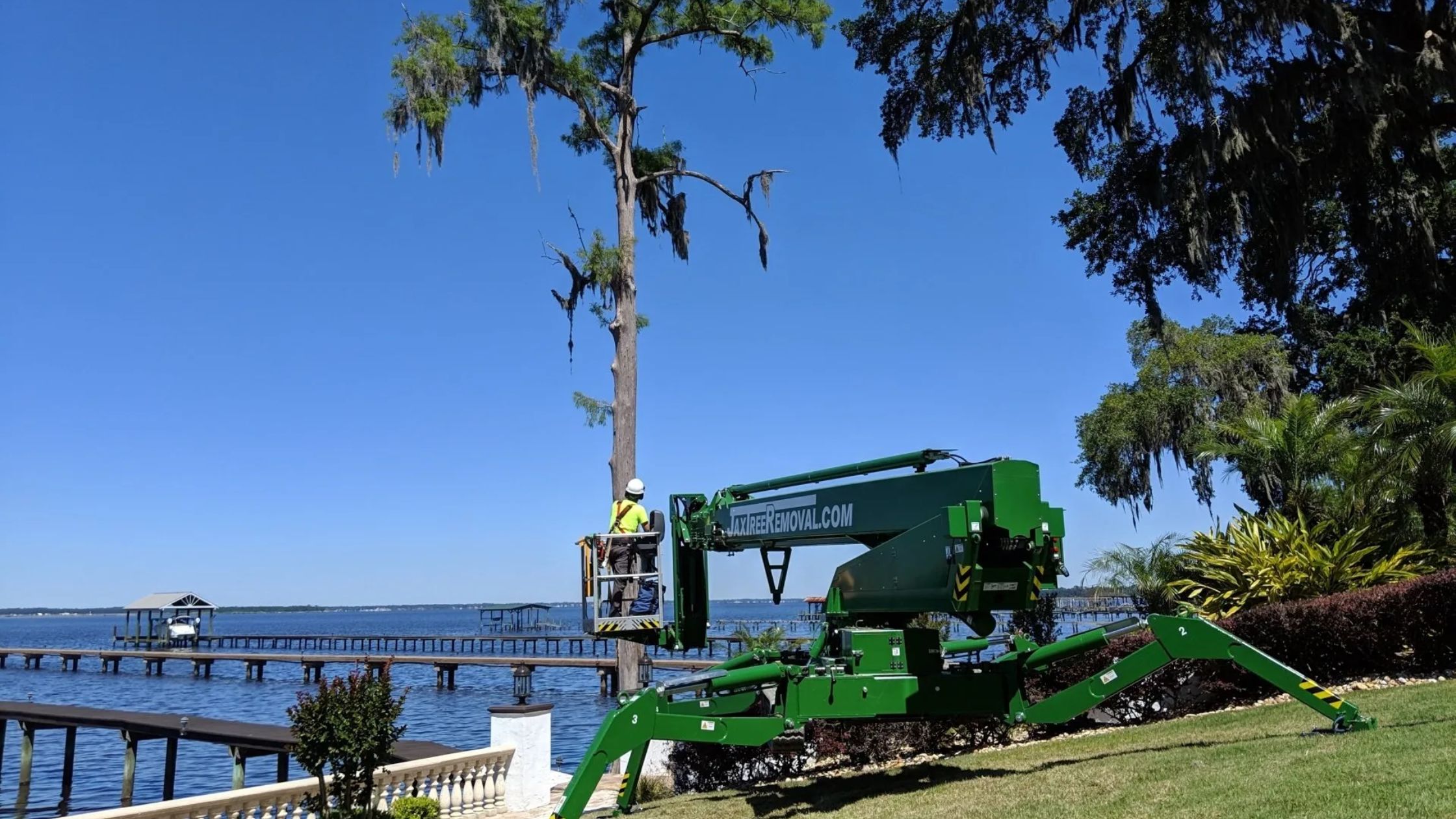 Tree Trimming Service Florida