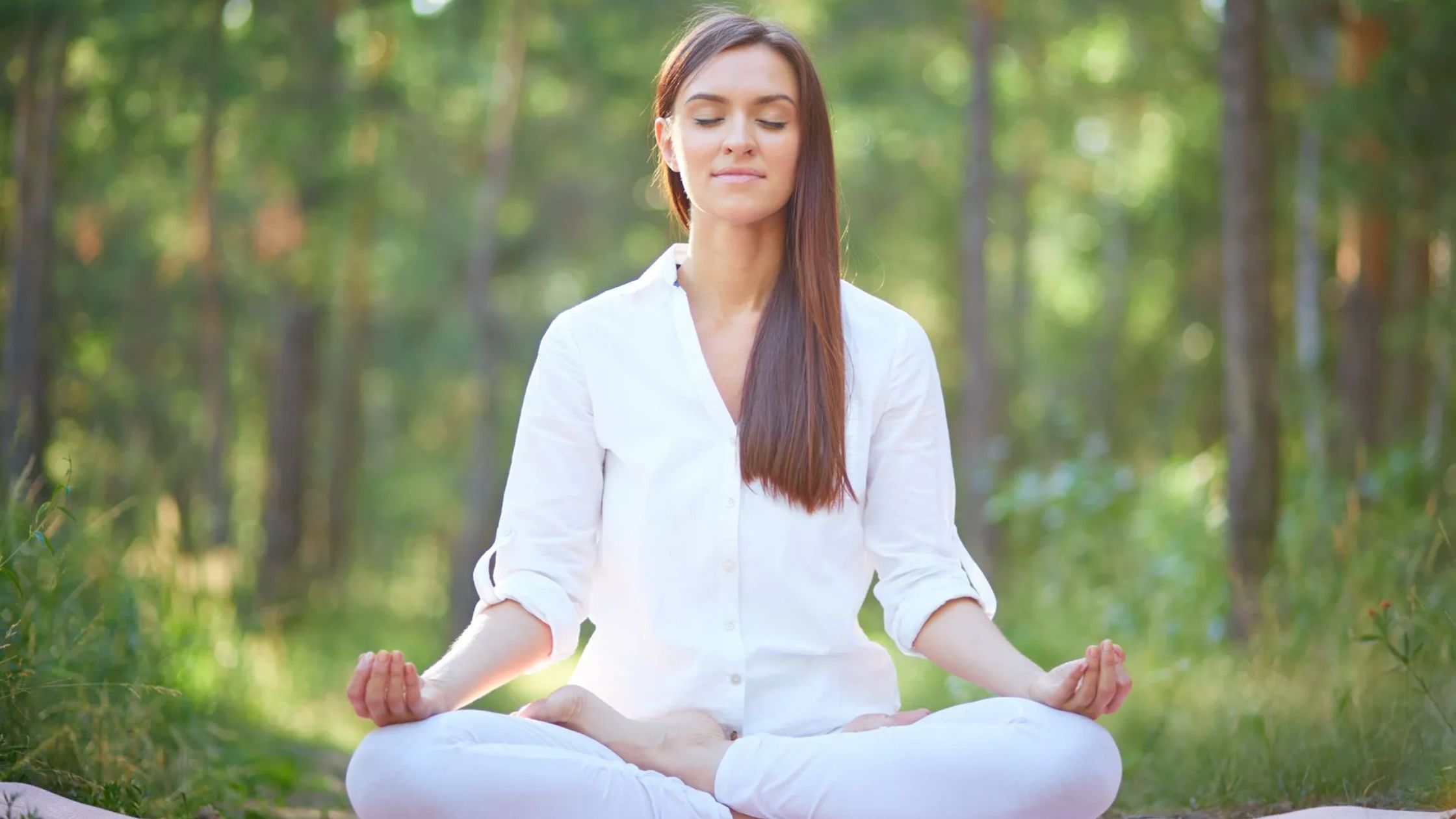 Meditation and Mindfulness Course