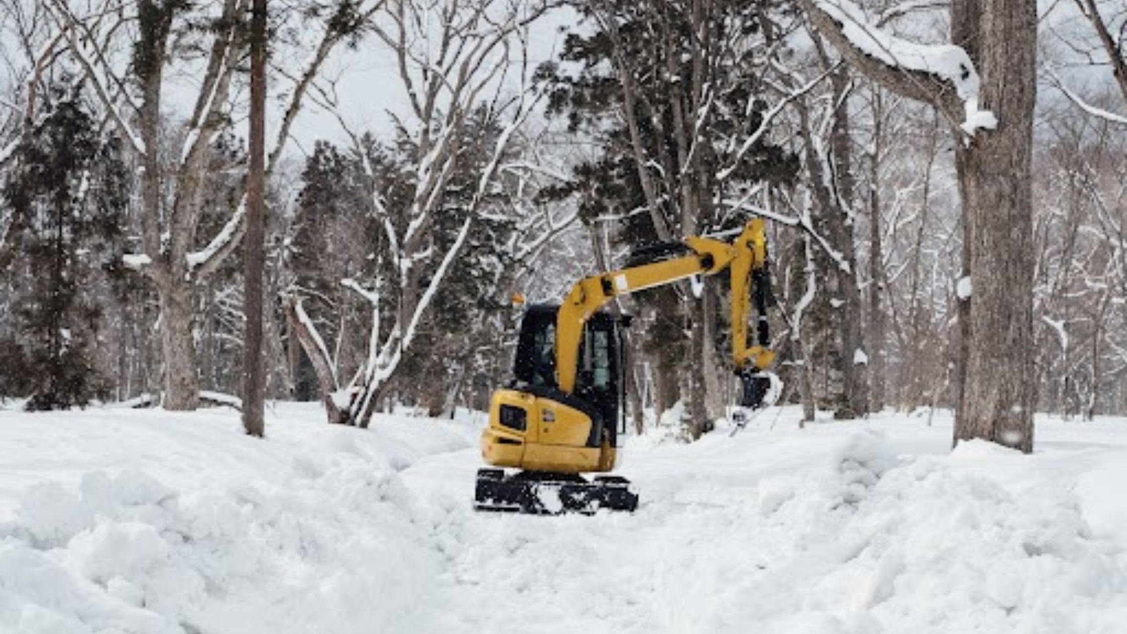 Snow Removal Service in Belgrade