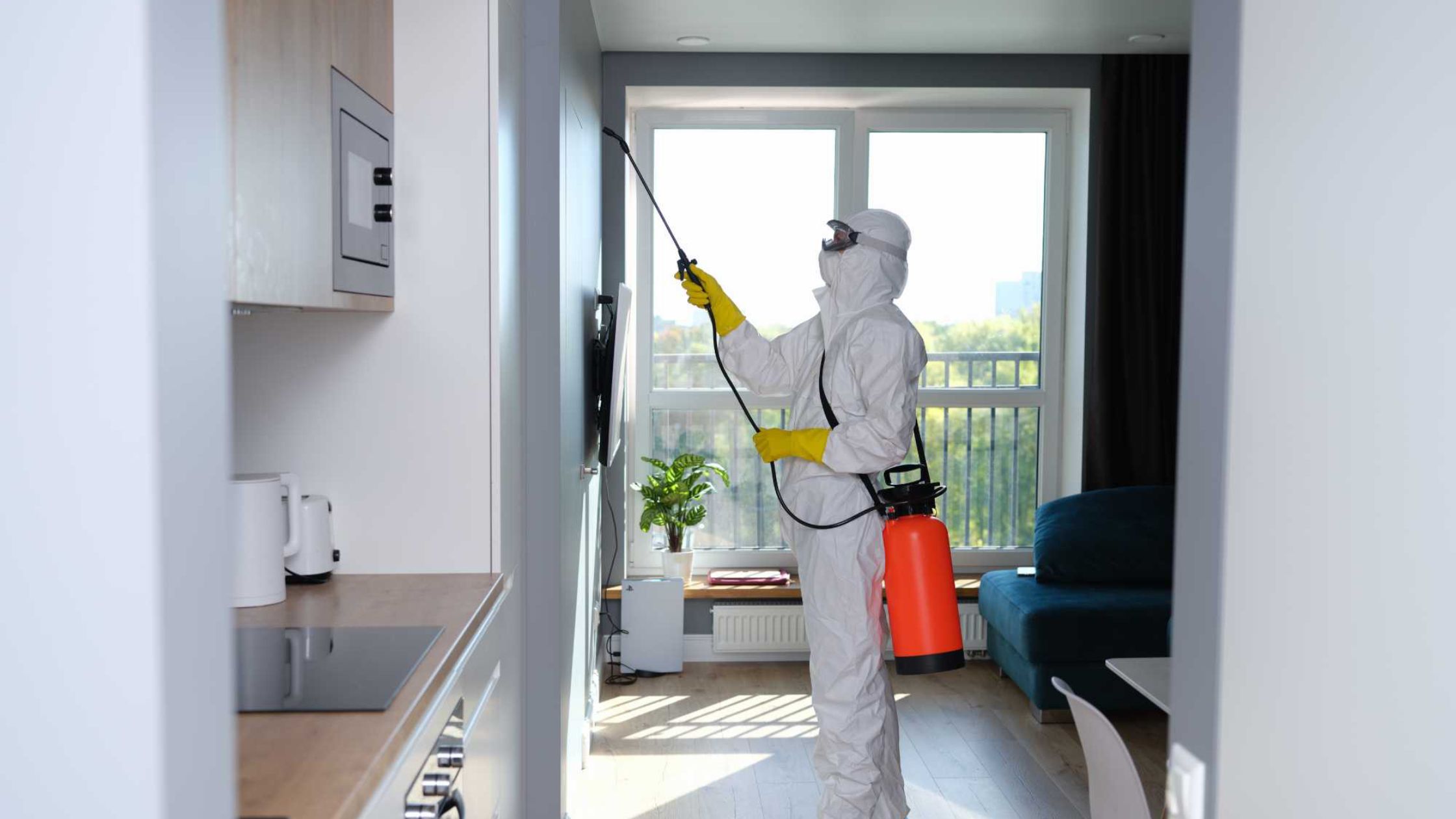 expert pest control in Burlington, NJ